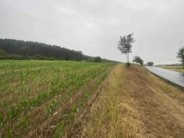 Prodej pole, Rabí - Bojanovice, 22978 m2