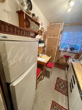 Prodej bytu 2+1, 53 m², Eduarda Ušela, Velké Opatovice