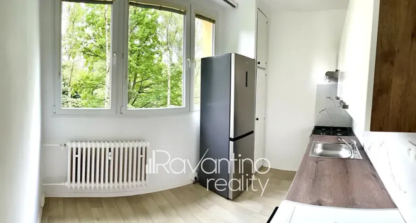 Pronájem bytu 2+1, Brno, Arbesova, 58 m2