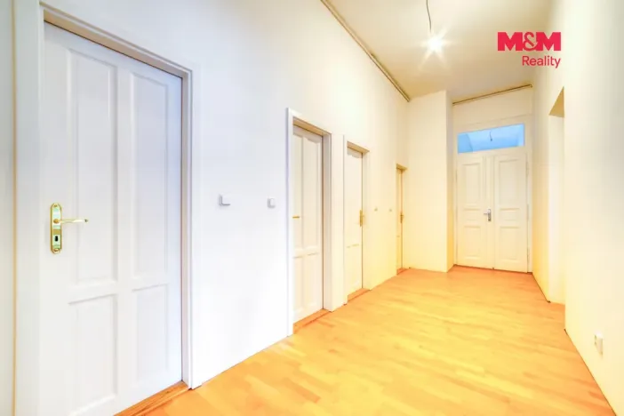 Pronájem bytu 3+kk, Plzeň - Vnitřní Město, Solní, 109 m2