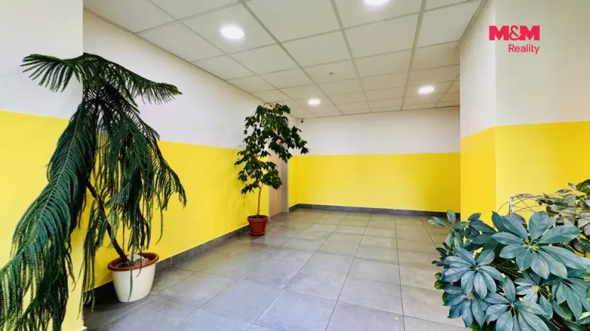 Prodej bytu 3+1, České Budějovice - České Budějovice 2, M. Chlajna, 67 m2