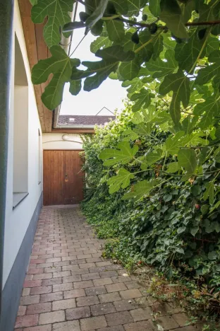 Pronájem atypického bytu, Sušice - Sušice I, Americké armády, 25 m2
