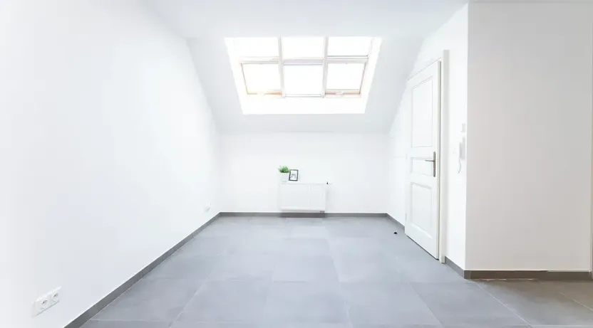 Pronájem bytu 1+1, Praha - Žižkov, Jeronýmova, 46 m2