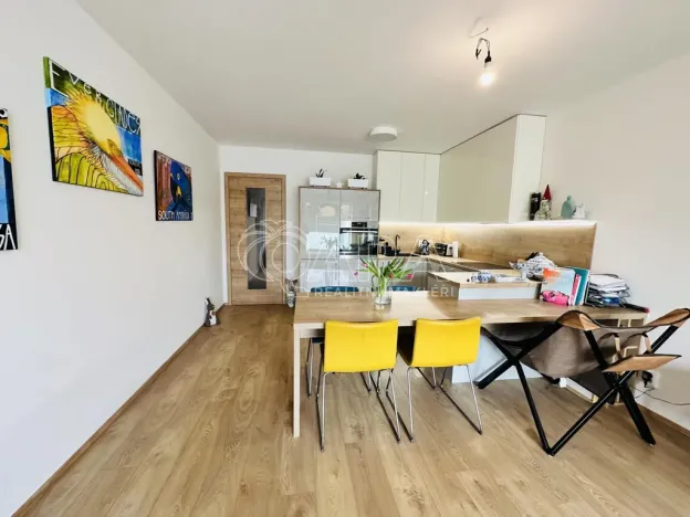 Pronájem bytu 2+kk, České Budějovice - České Budějovice 3, Nová, 80 m2