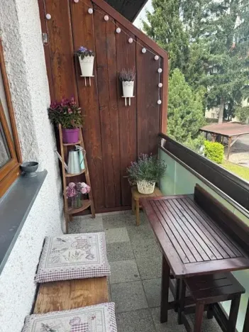 Pronájem bytu 1+kk, Slapy, 31 m2