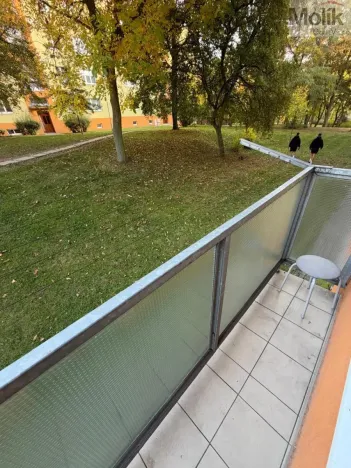 Prodej bytu 2+1, Most, Obránců míru, 50 m2