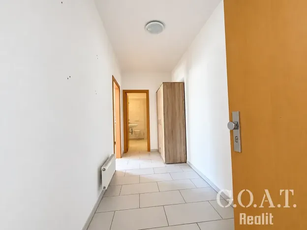 Prodej bytu 1+kk, Plzeň, Karlova, 42 m2