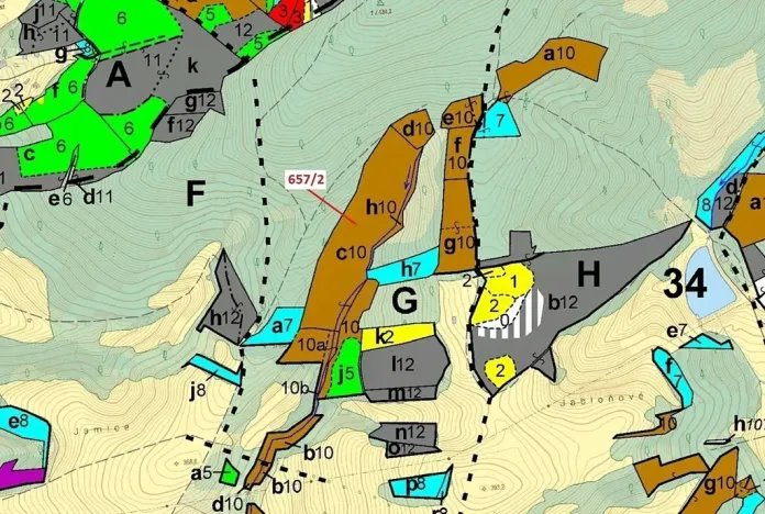 Dražba lesa, Neubuz, 22874 m2