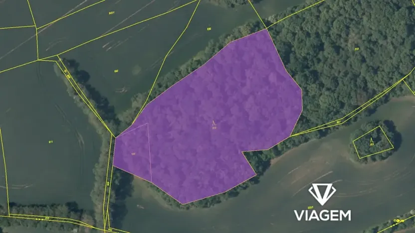 Prodej lesa, Vysoký Újezd, 13707 m2
