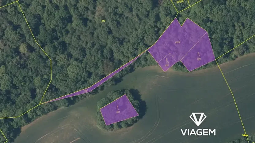 Prodej lesa, Vysoký Újezd, 2471 m2