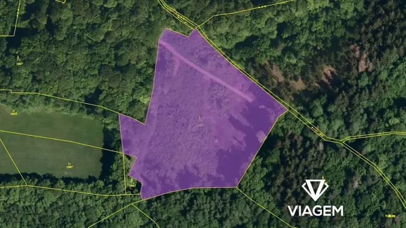 Prodej podílu lesa, Janová, 5802 m2