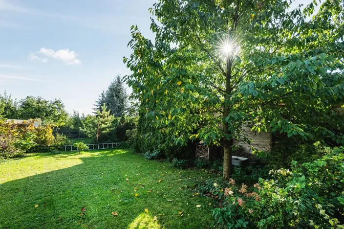 Prodej rodinného domu, Červené Pečky, 9. května, 93 m2