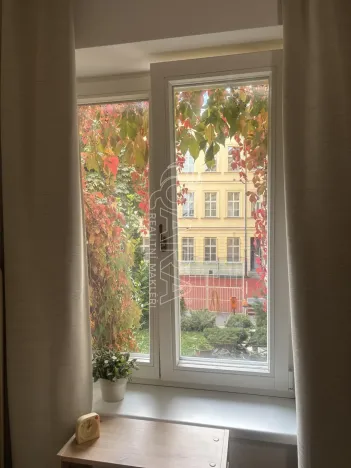 Prodej bytu 1+kk, Praha - Nové Město, Sokolská, 24 m2