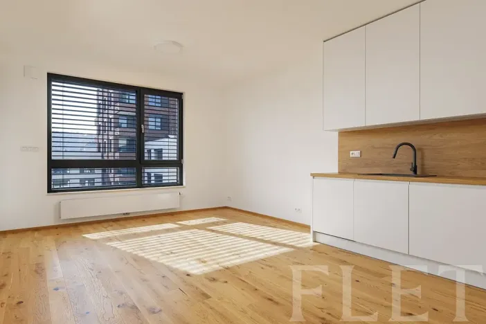 Pronájem bytu 2+kk, Praha - Nusle, Závišova, 54 m2