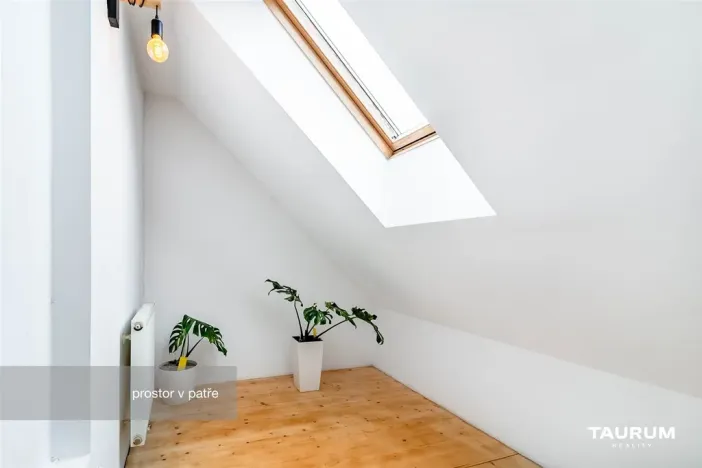 Prodej bytu 2+1, Plzeň - Jižní Předměstí, Lukavická, 117 m2