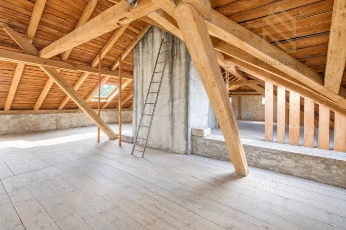 Prodej výrobních prostor, Tisá, 4560 m2