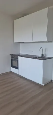 Pronájem bytu 1+kk, Brno, Střední, 39 m2