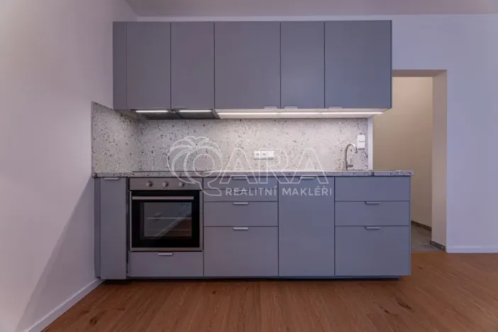 Pronájem bytu 1+kk, Praha - Žižkov, Viklefova, 34 m2