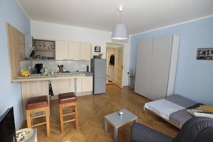 Pronájem bytu 1+kk, Praha - Nusle, U křížku, 27 m2