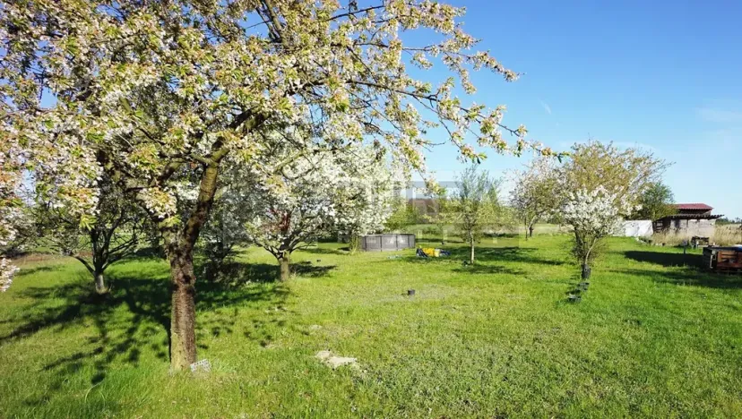 Prodej zahrady, Mělník, 9817 m2