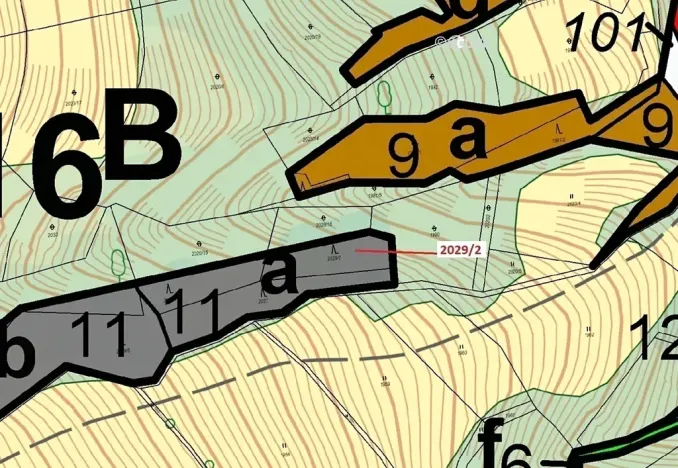 Dražba lesa, Hovězí, 788 m2
