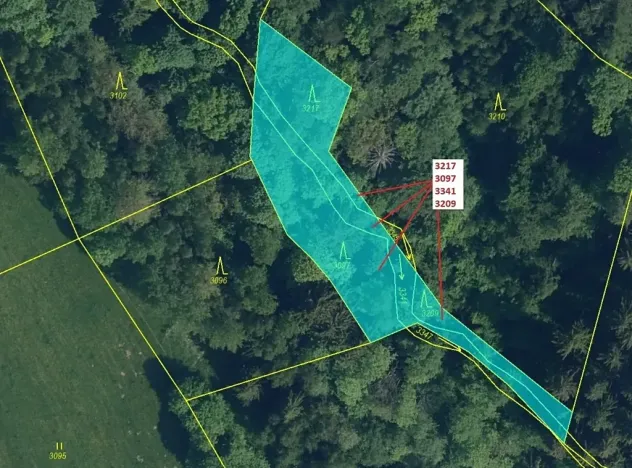 Dražba lesa, Benešov u Semil, 1649 m2