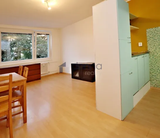 Pronájem bytu 1+kk, Praha, Rochovská, 27 m2