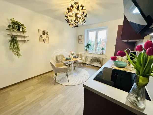 Pronájem bytu 2+1, Strakonice - Strakonice I, Mikoláše Alše, 63 m2