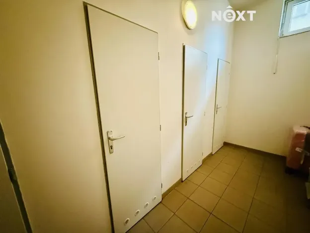 Prodej bytu 2+1, Plzeň, Černická, 65 m2