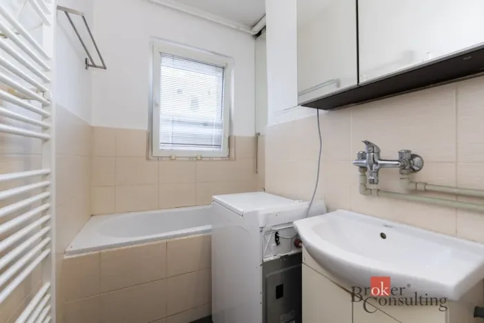 Prodej bytu 1+1, Zabrušany - Všechlapy, 42 m2