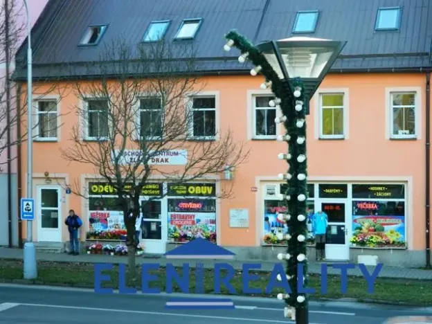Pronájem obchodního prostoru, Jeseník, nám. Svobody, 278 m2