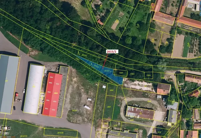 Dražba lesa, Horní Dunajovice, 391 m2