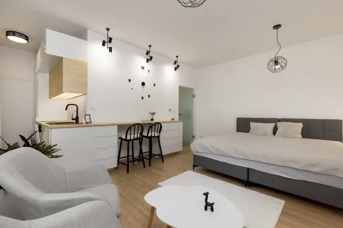 Pronájem bytu 1+kk, Ostrava - Moravská Ostrava, Na Fifejdách, 35 m2