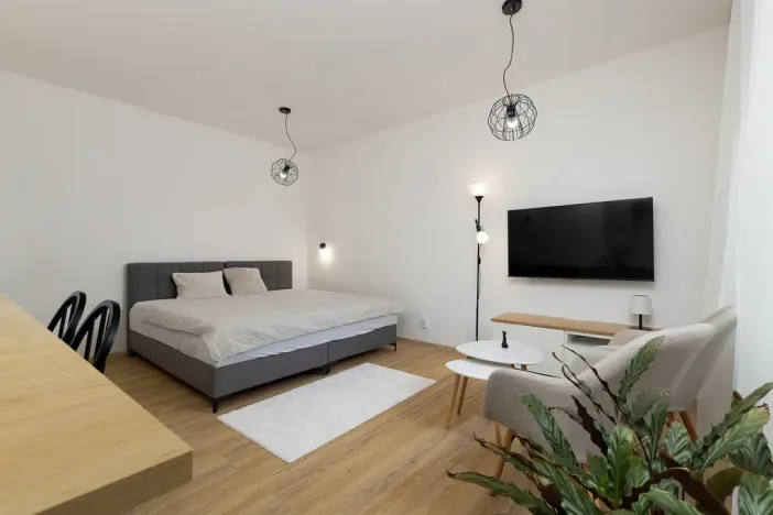 Pronájem bytu 1+kk, Ostrava - Moravská Ostrava, Na Fifejdách, 35 m2
