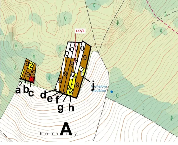 Dražba lesa, Cidlina, 1615 m2