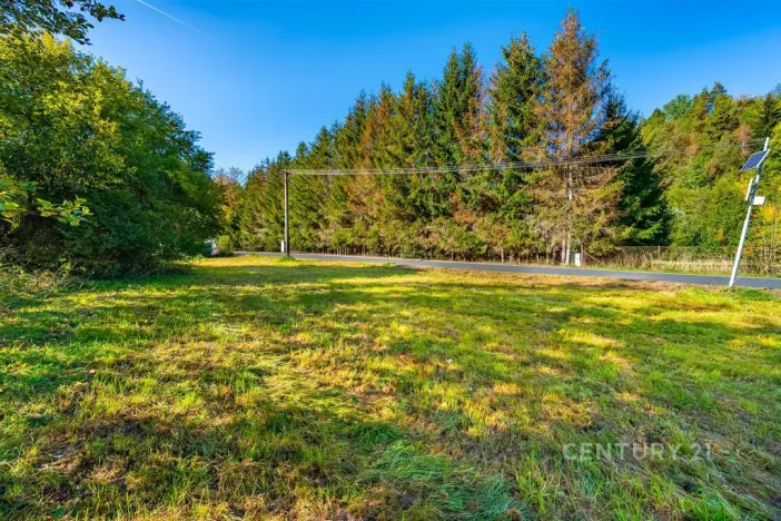 Prodej pozemku pro bydlení, Hartmanice, 1451 m2