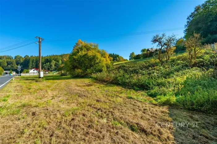 Prodej pozemku pro bydlení, Hartmanice, 1451 m2