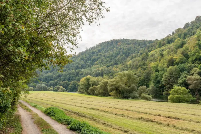 Prodej chaty, Křivoklát - Častonice, 50 m2
