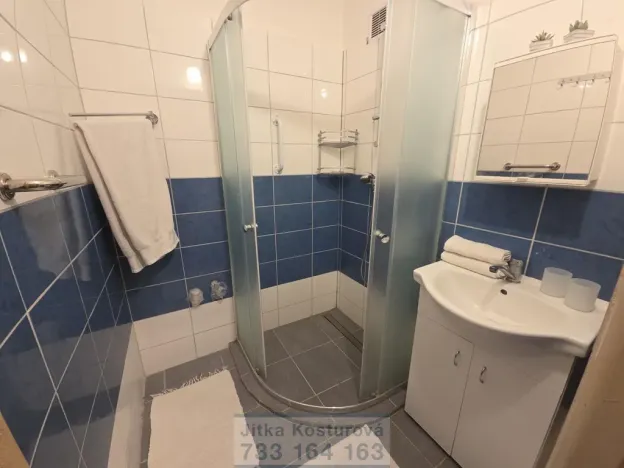 Prodej bytu 2+1, Krnov - Pod Bezručovým vrchem, Vrchlického, 60 m2