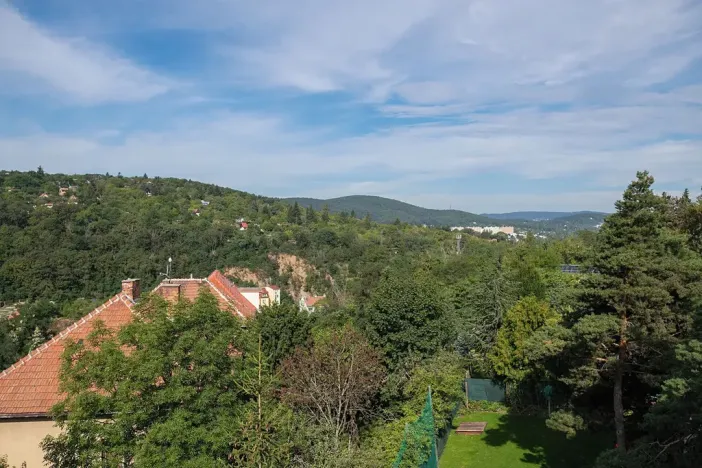 Prodej rodinného domu, Brno, Kalvodova, 314 m2