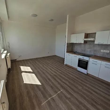 Pronájem bytu 2+kk, Mlékojedy, 50 m2