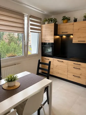 Pronájem bytu 1+1, Plzeň, Rabštejnská, 39 m2