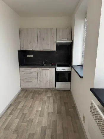 Pronájem bytu 1+1, Opava - Předměstí, Rybářská, 26 m2