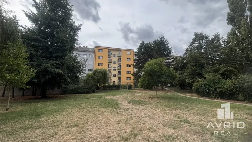 Prodej bytu 3+kk, Brno, Polní, 72 m2