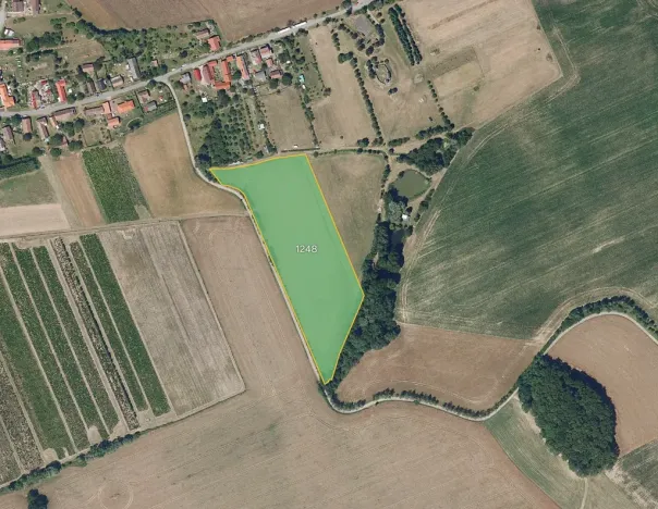 Prodej pole, Kraborovice, 8006 m2