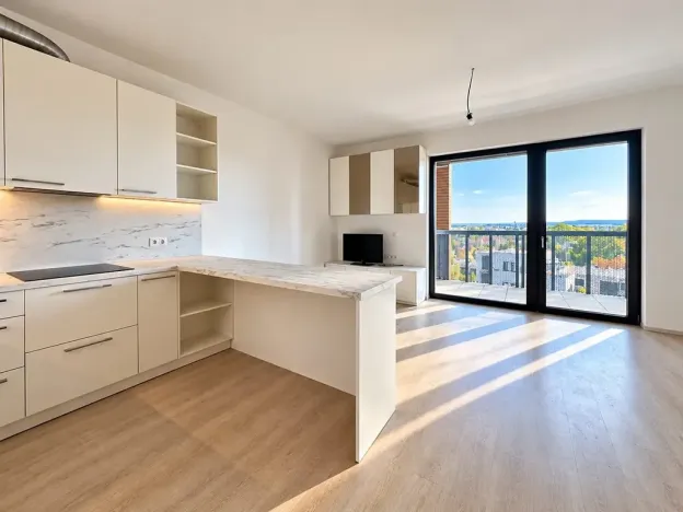 Prodej bytu 1+kk, Mladá Boleslav, Vondřichova, 42 m2