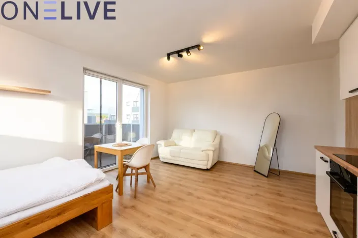 Prodej bytu 1+kk, Heřmanova Huť, U Pondu, 35 m2