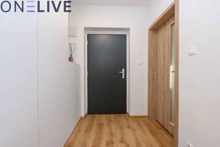 Prodej bytu 1+kk, Heřmanova Huť, U Pondu, 35 m2
