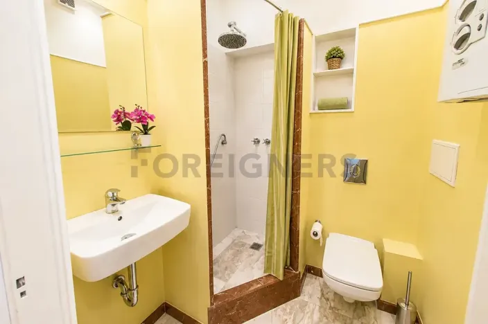 Pronájem bytu 3+1, Praha - Vinohrady, Korunní, 95 m2