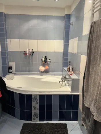 Pronájem bytu 2+kk, Plzeň - Jižní Předměstí, Kollárova, 55 m2